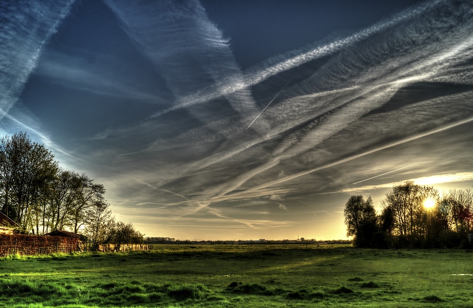 Nature trees pasture