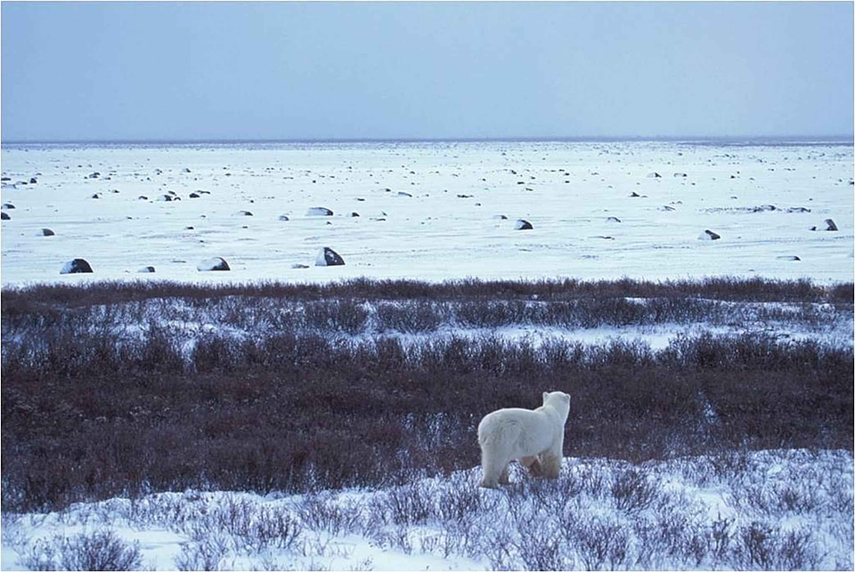 Alaska arctic barrier