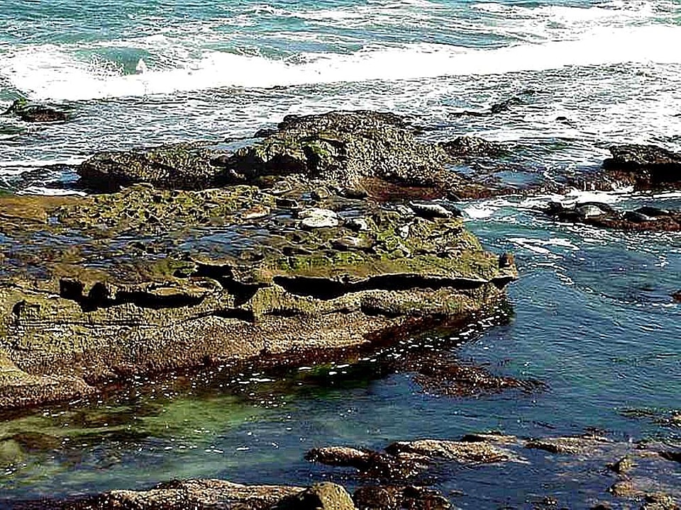 Rocks water 