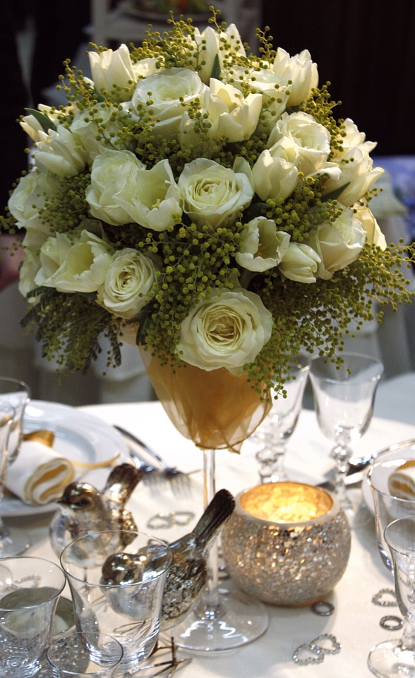 Wedding bride plant