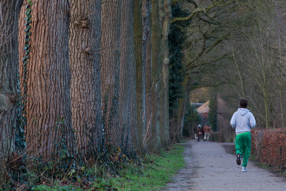 Jogger marathon forest