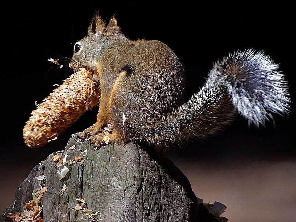 Eat  
