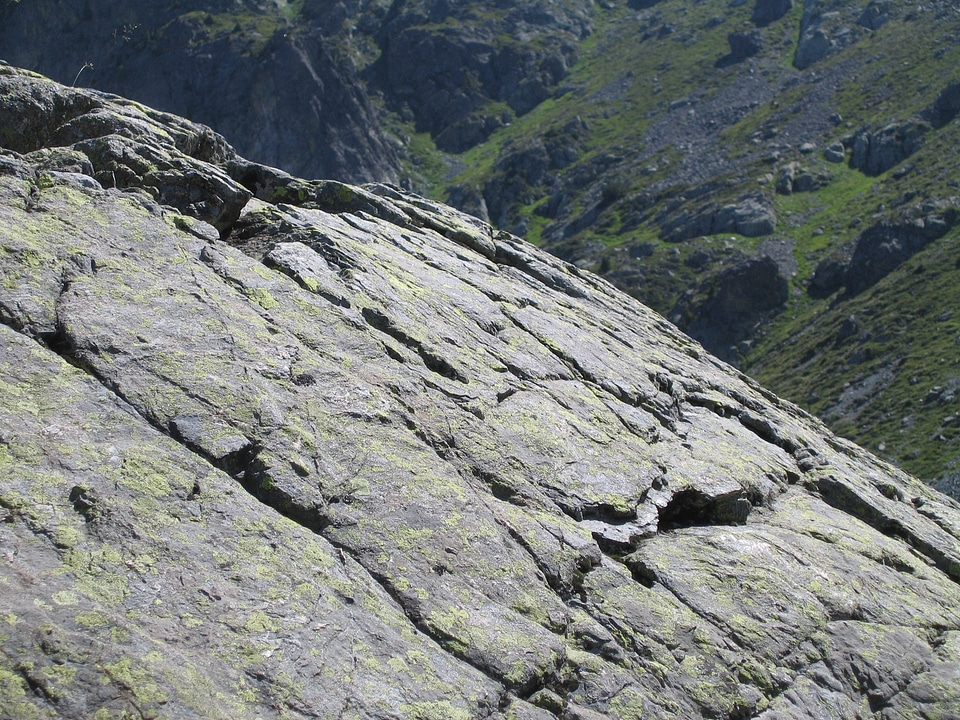 Nature grey climbing