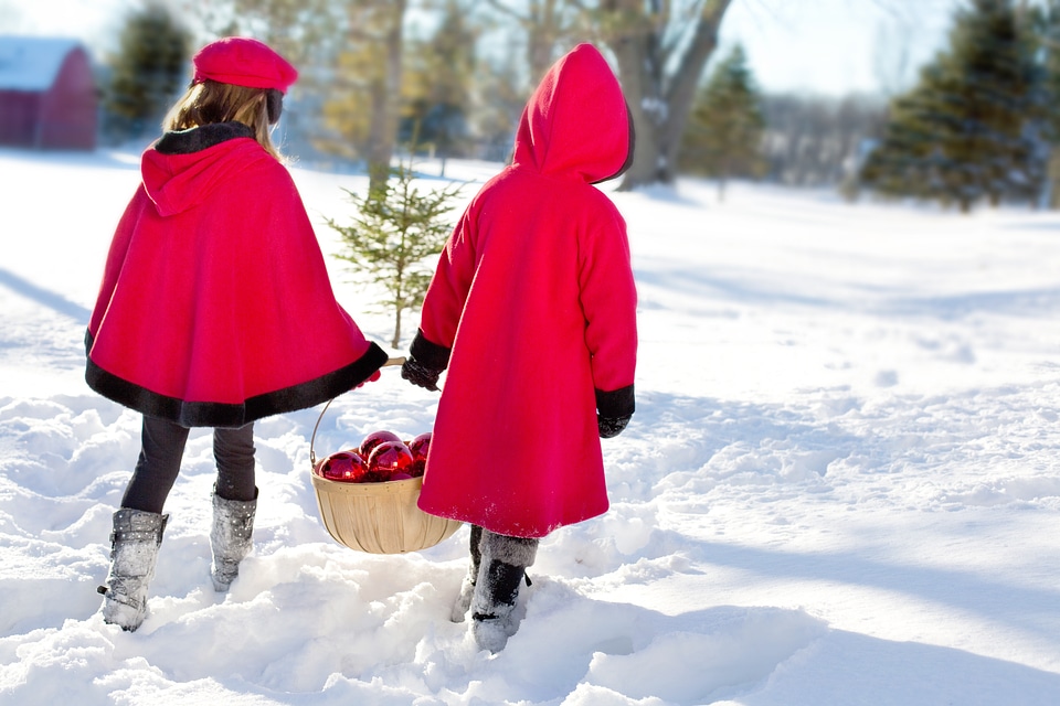 Snow decorating winter