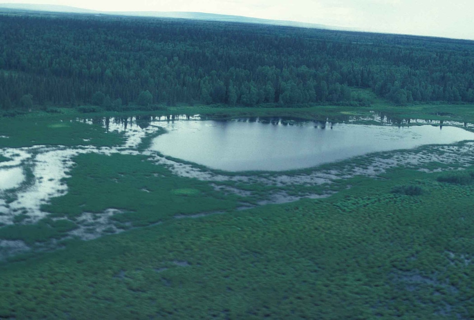 Domestic national park park