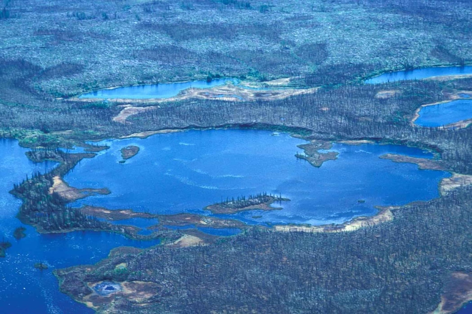 Estate scenic wetland