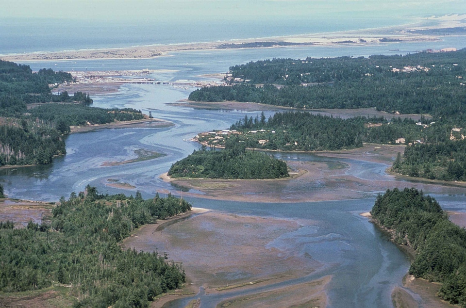 Wetland  