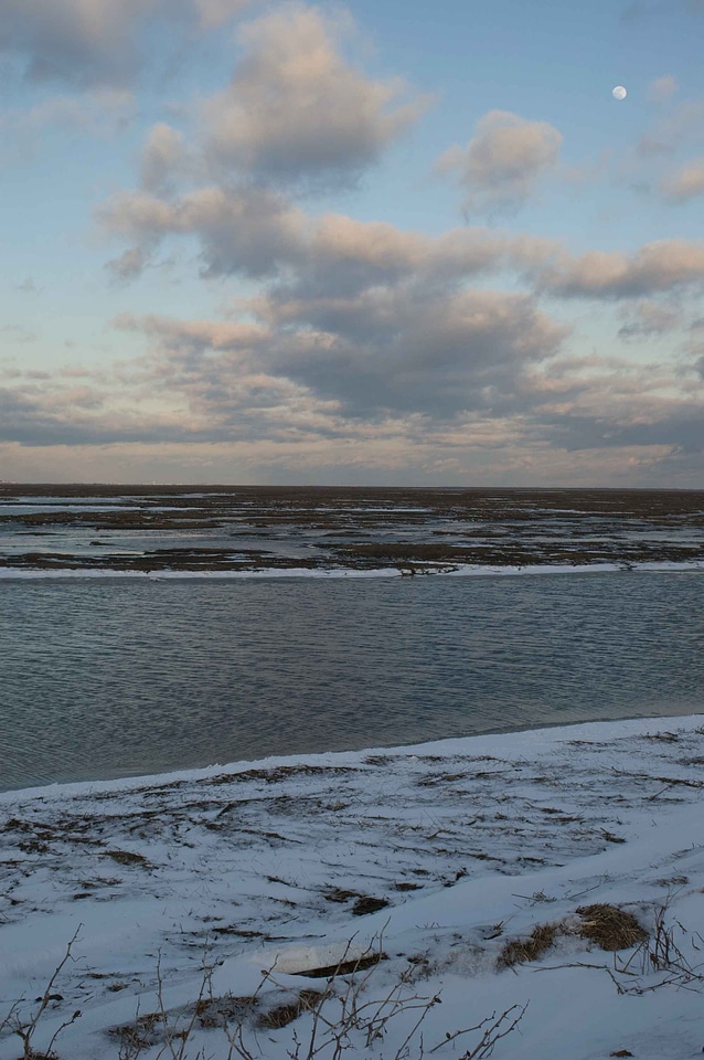 Area wetland winter