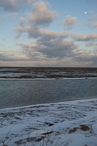 Area wetland winter photo