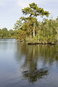 Bell lake landscape photo