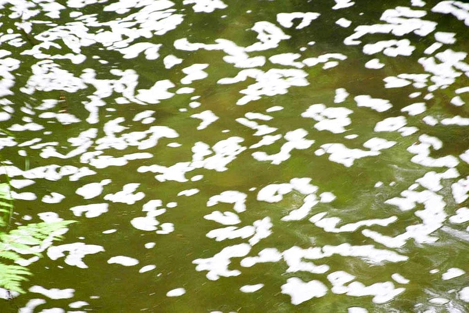 Marsh surface water