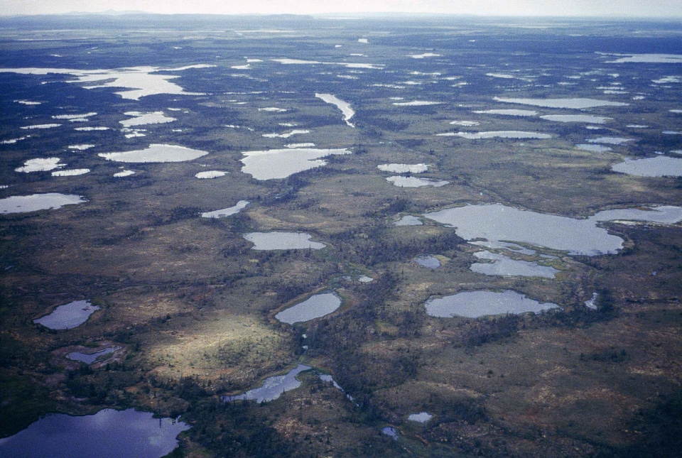 Lakes perspective wetland