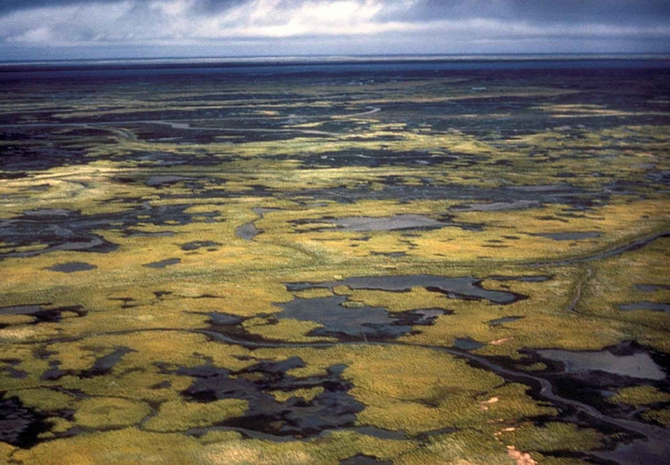 Estate sight wetland