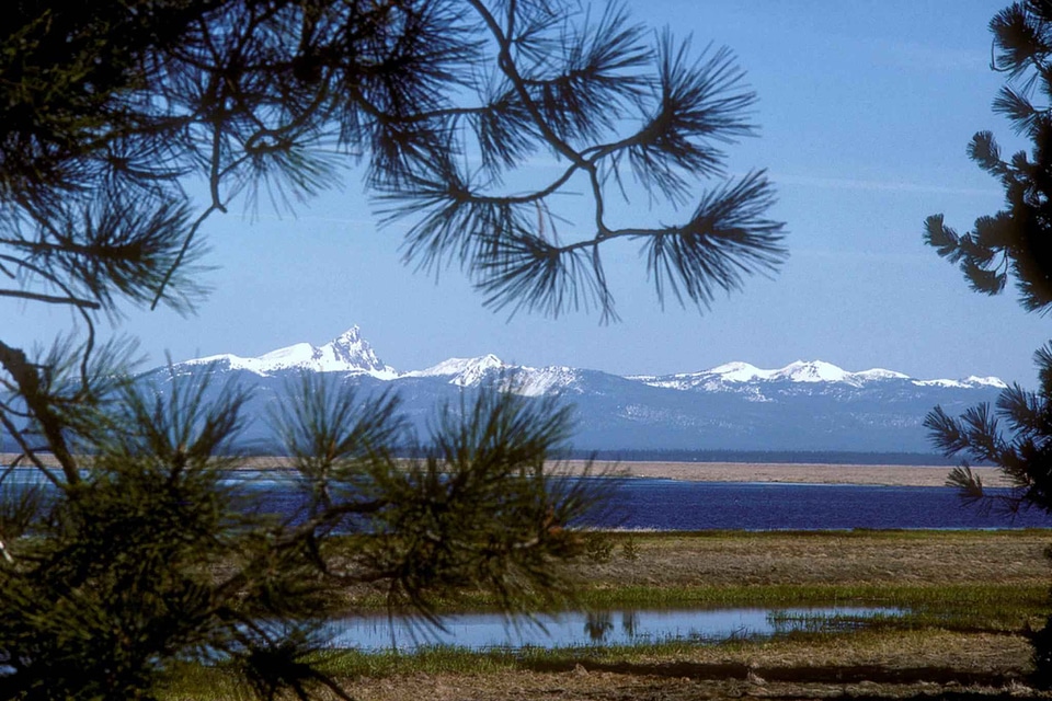 Background marsh perspective