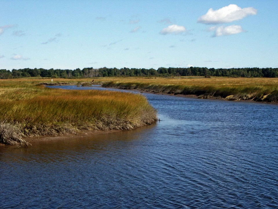 Marsh  