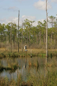 Bird box reflection photo