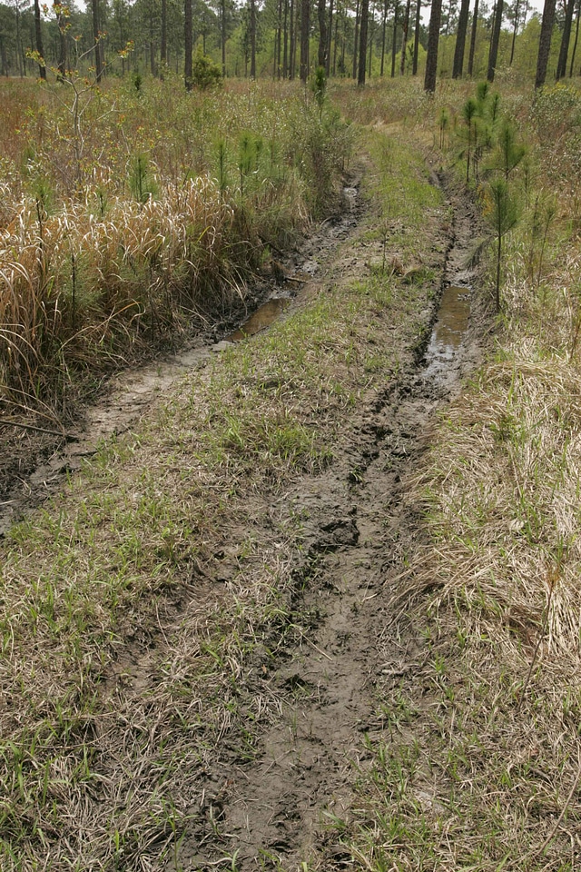 Cause damage habitat