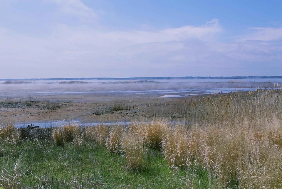 Area impoundment mist