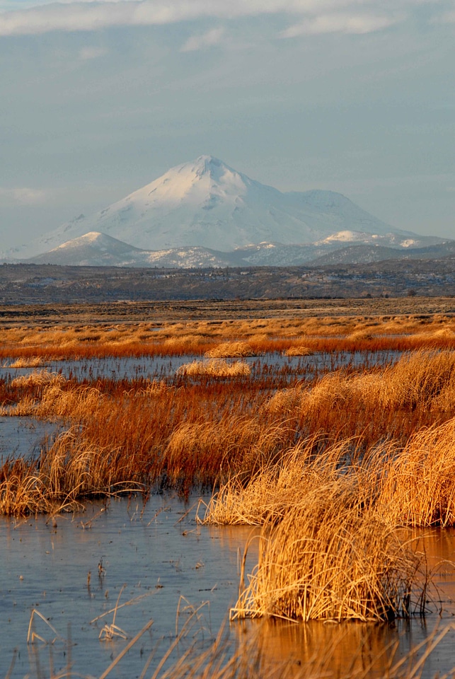 Lake marsh salt marsh
