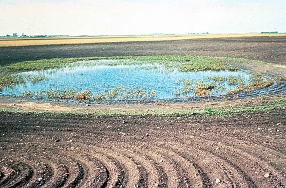 Agriculture farm farming