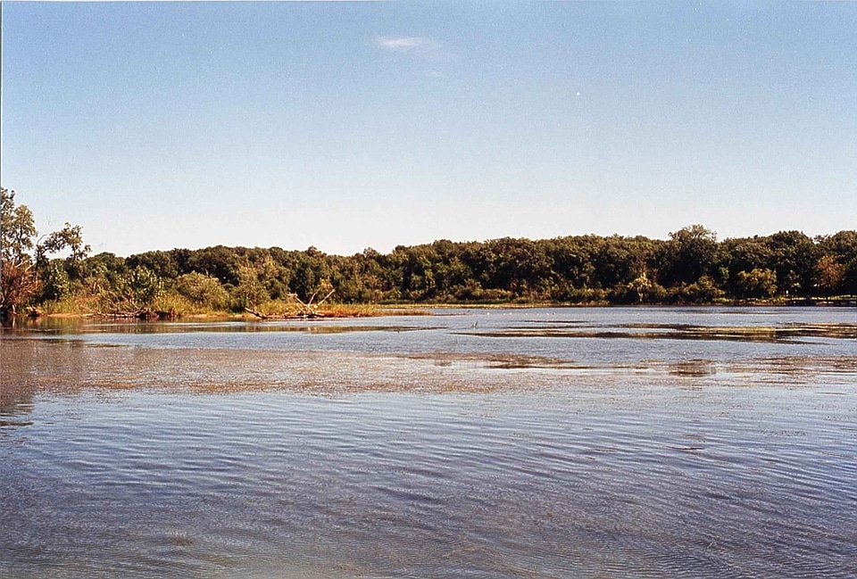 Coast International marsh