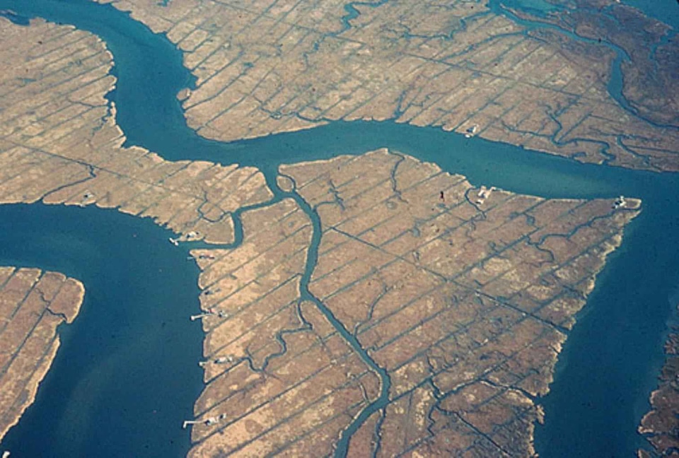 Habitat photo recovery