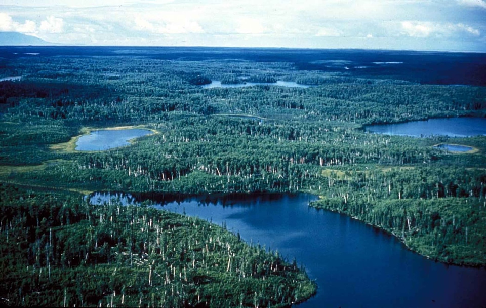 Lakes lowland refuge