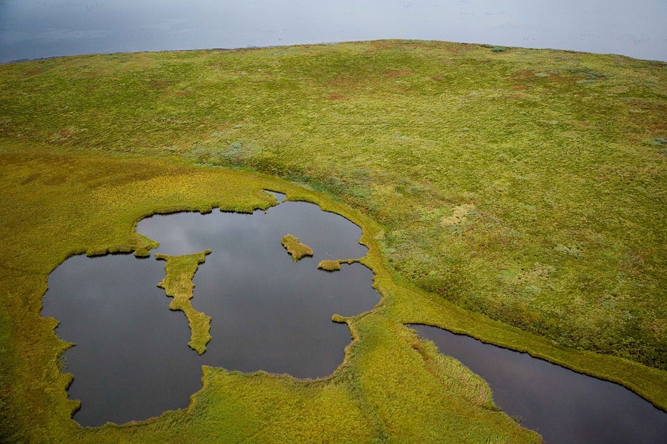 Landmass water worm