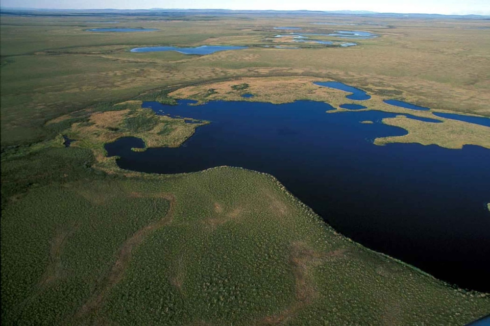 Domestic national park park