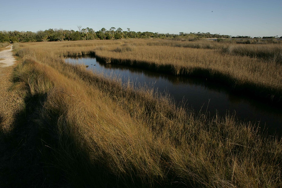 Marshlands scenic 