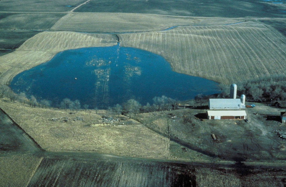Wetland  