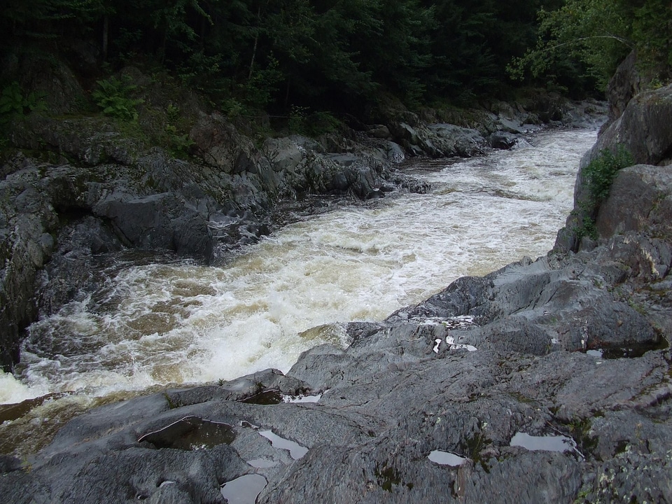 Water  