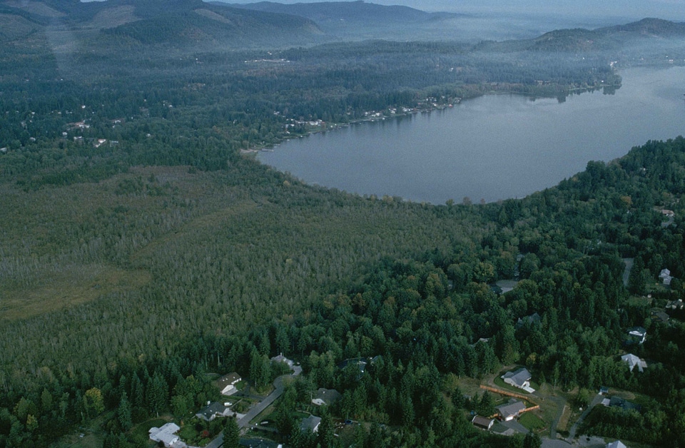 Black domestic national park