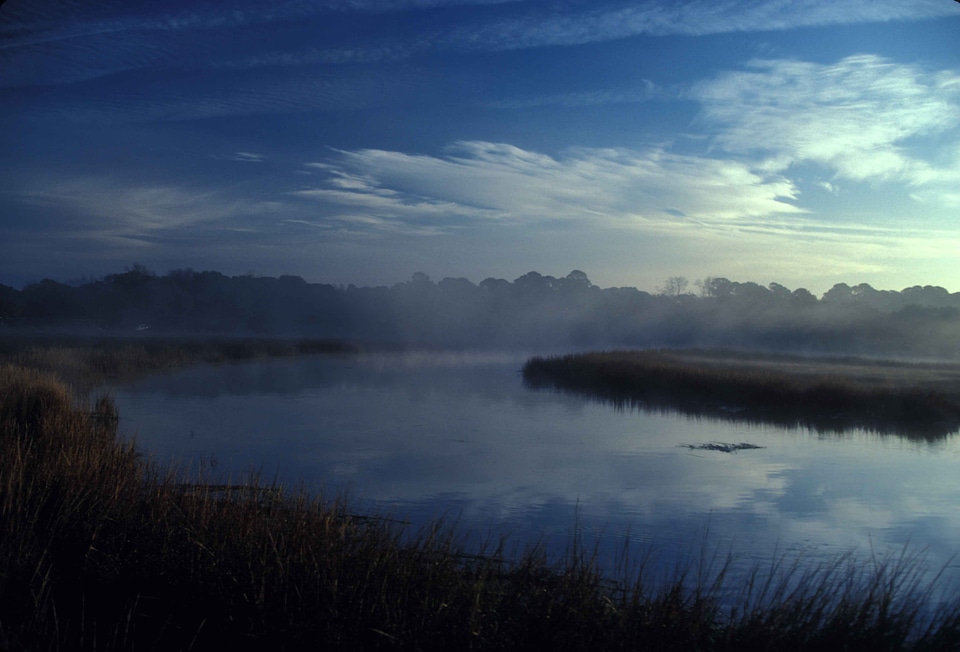 Estuary marsh river