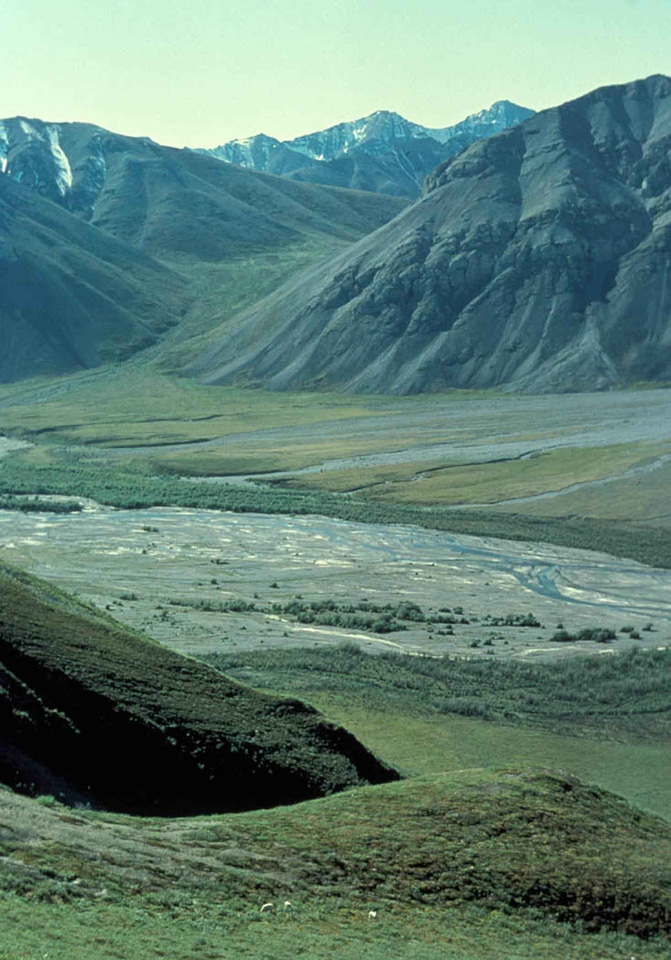 Campaign glen nature