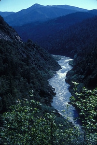 Glen river scenic