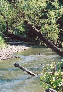 Feather river scenic