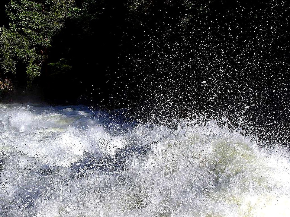 Foam  