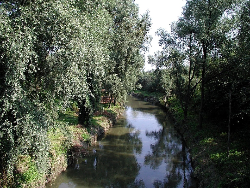 Habitat nature river