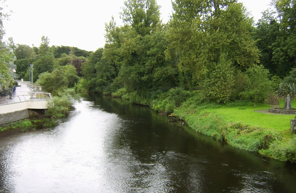 Bridge camp nature