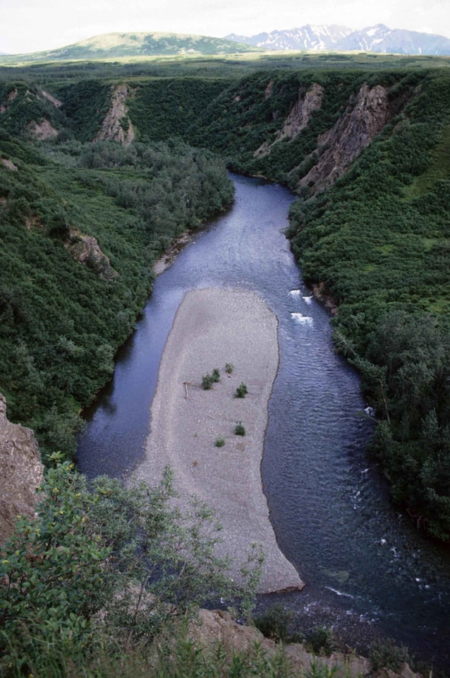 River sandbar photo
