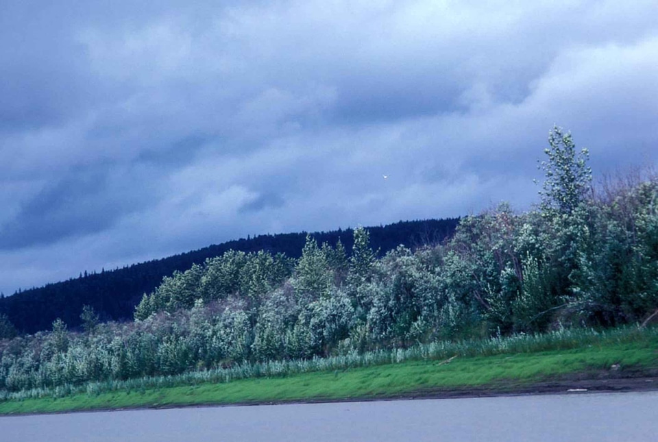 Camp river shoreline