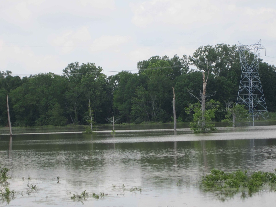River water 