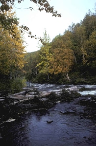 Campaign estate nature