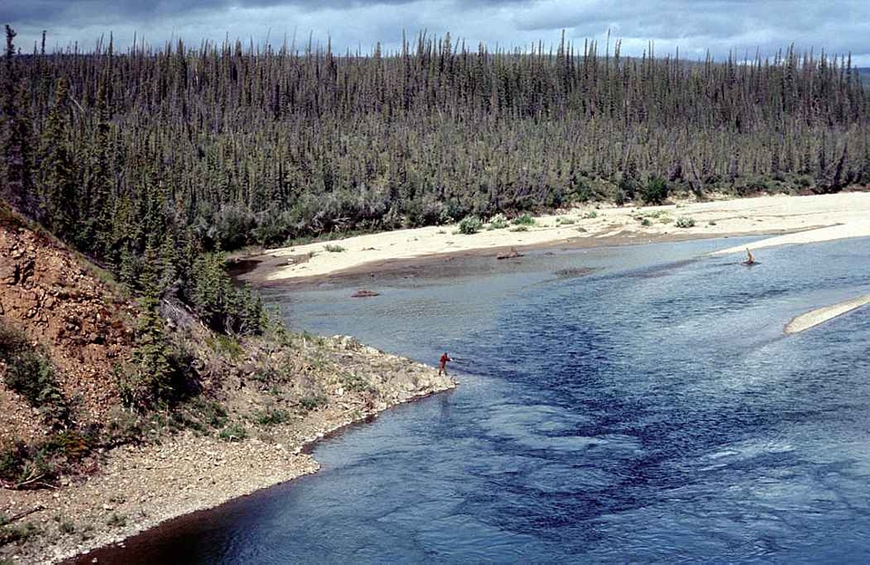 Estate forest river