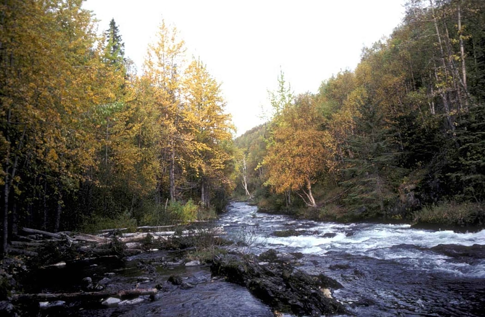 River  