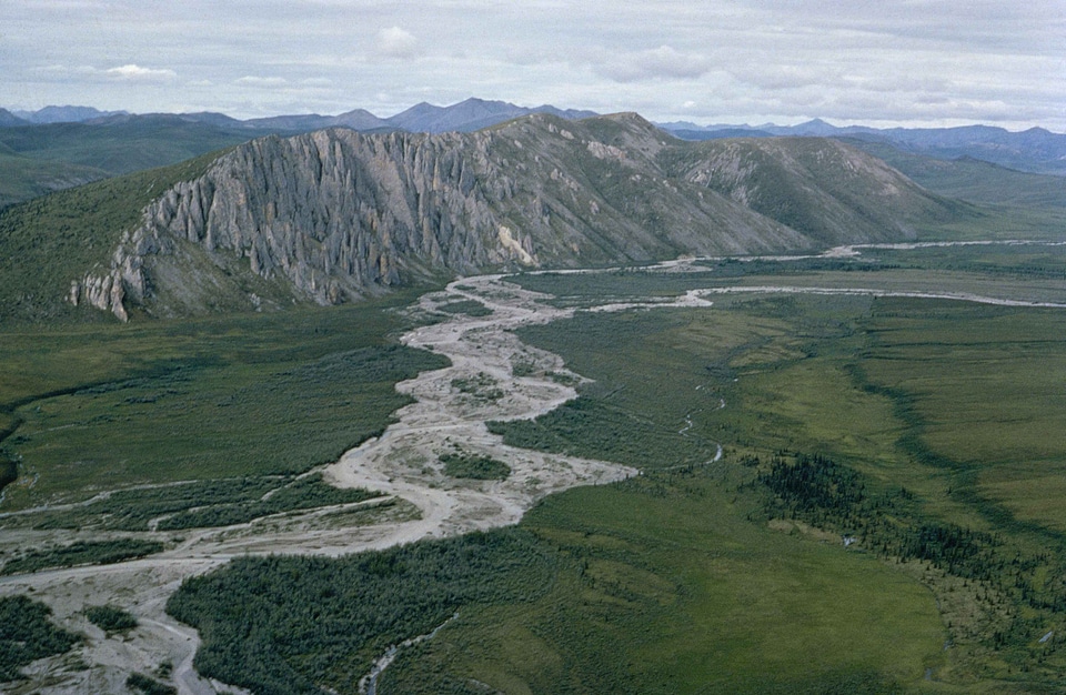 Arctic domestic estuary