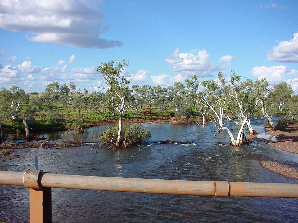 African river 