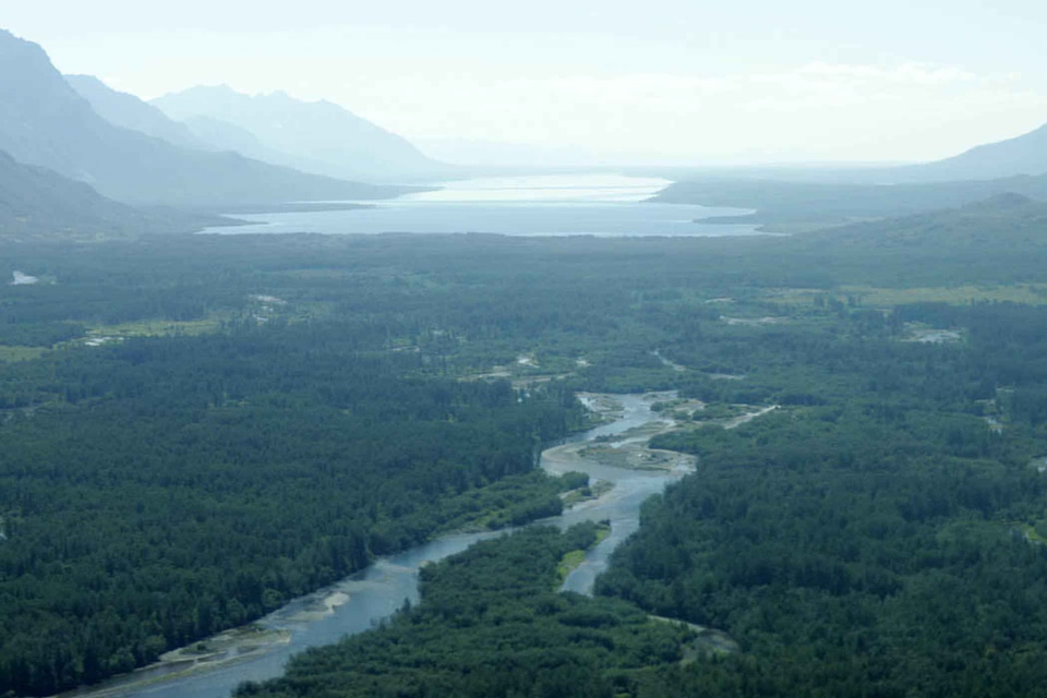 Greenery river 