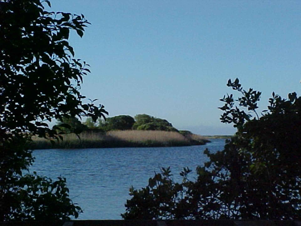 Lake pond 